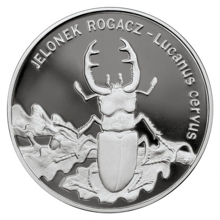Zwierzęta świata - Jelonek Rogacz